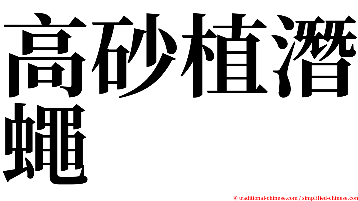高砂植潛蠅 serif font