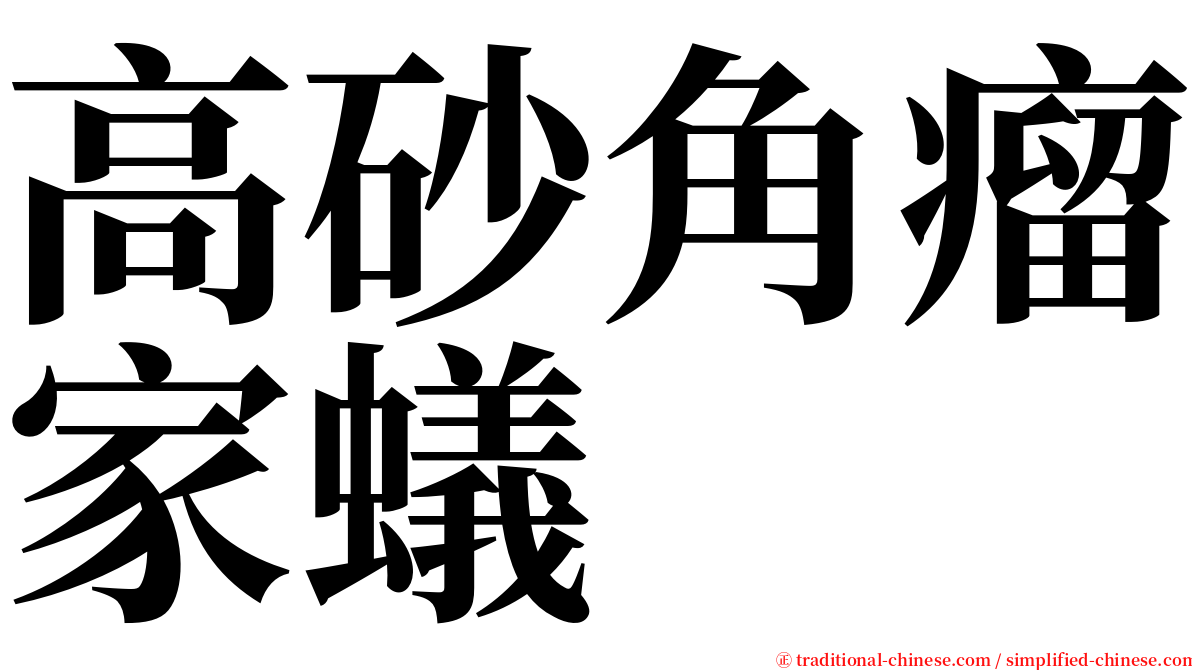 高砂角瘤家蟻 serif font