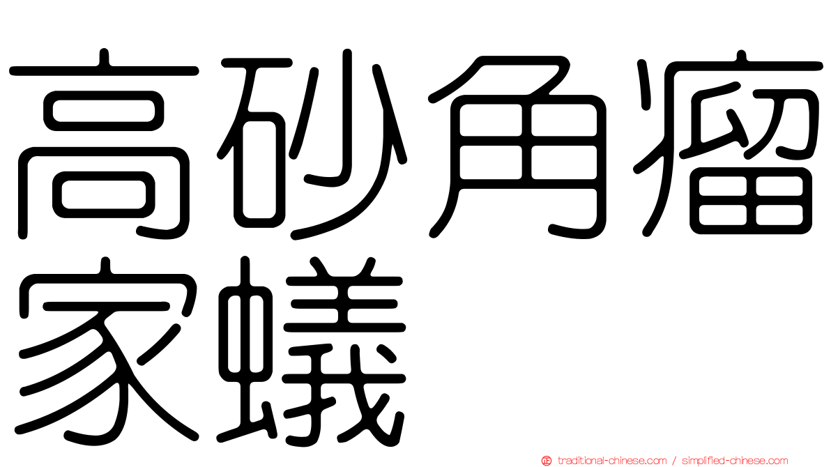 高砂角瘤家蟻