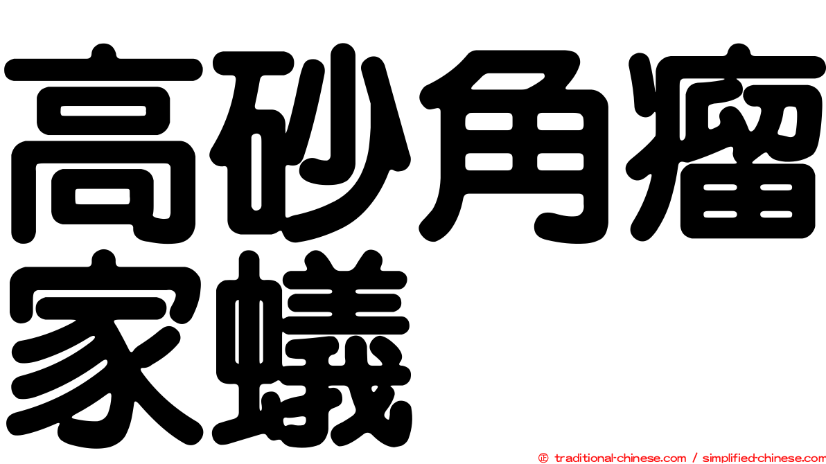 高砂角瘤家蟻