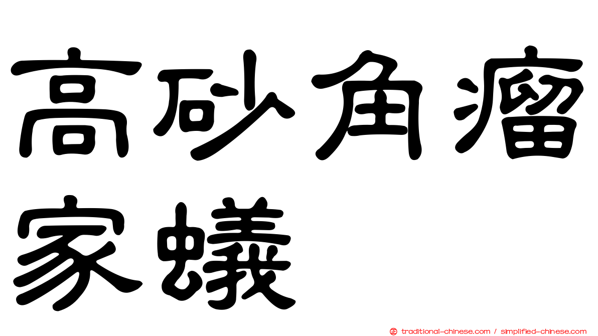 高砂角瘤家蟻