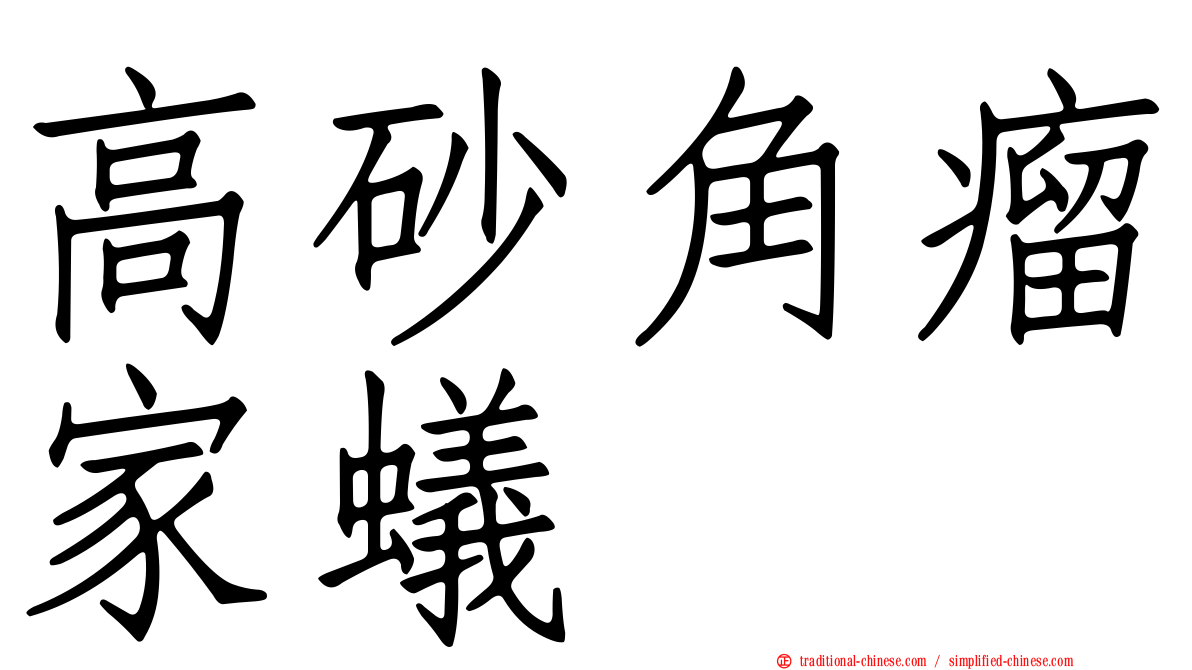 高砂角瘤家蟻