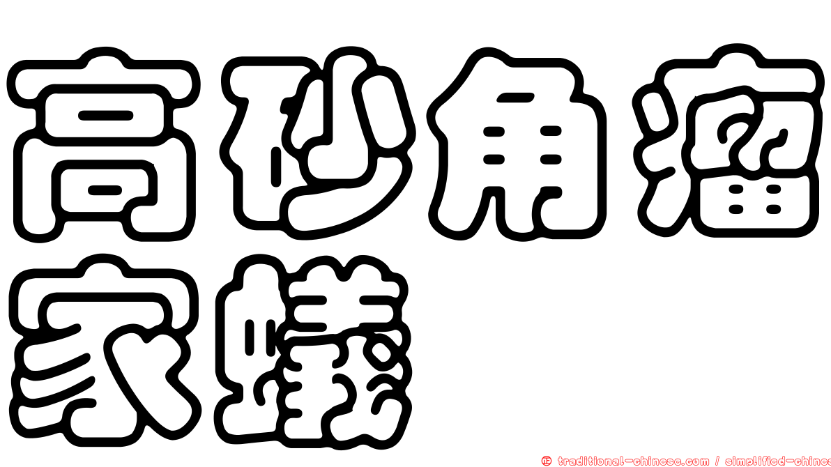 高砂角瘤家蟻