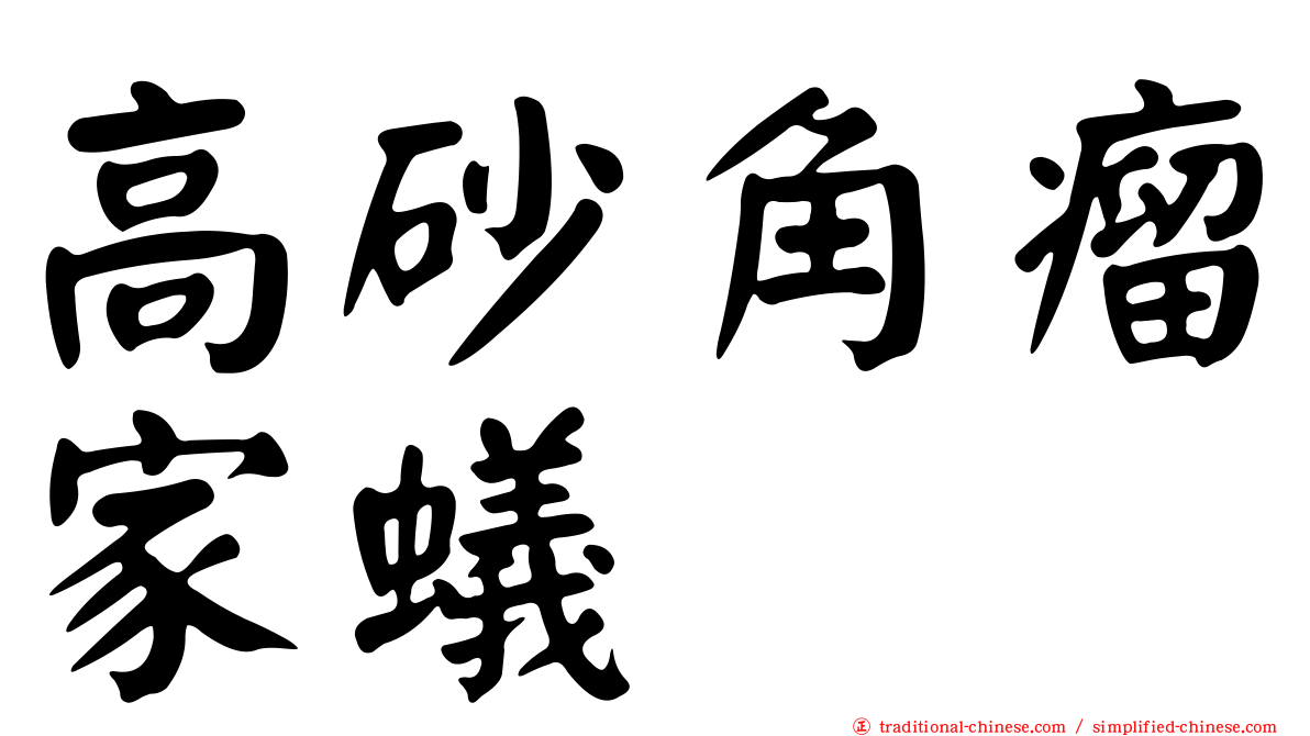高砂角瘤家蟻