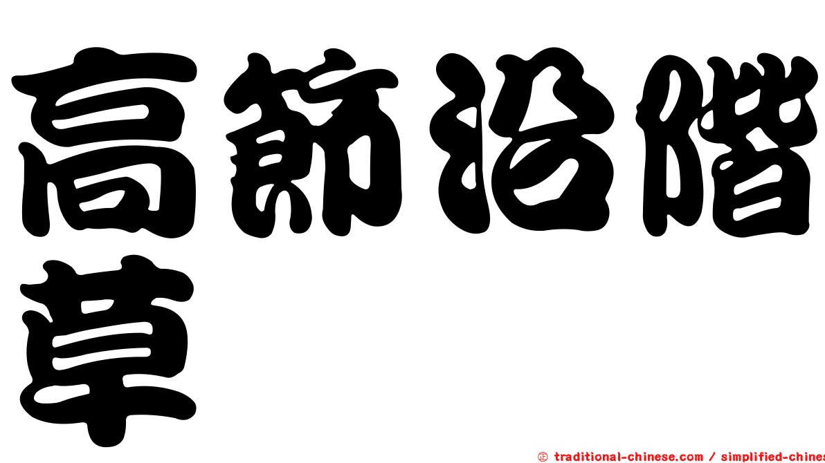 高節沿階草