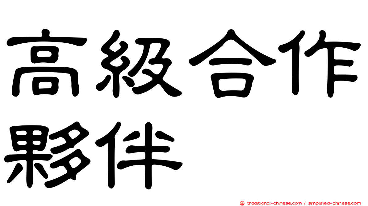 高級合作夥伴