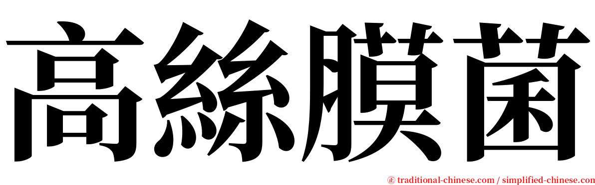 高絲膜菌 serif font