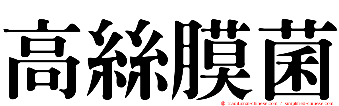 高絲膜菌
