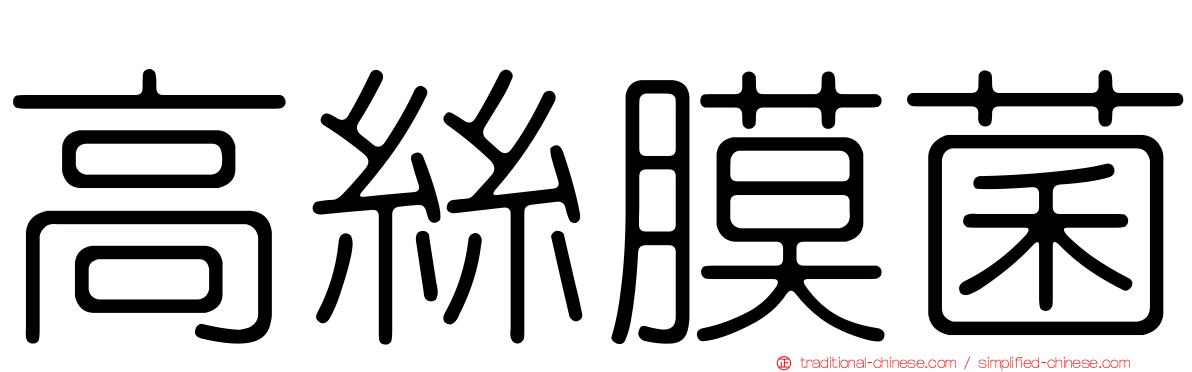 高絲膜菌