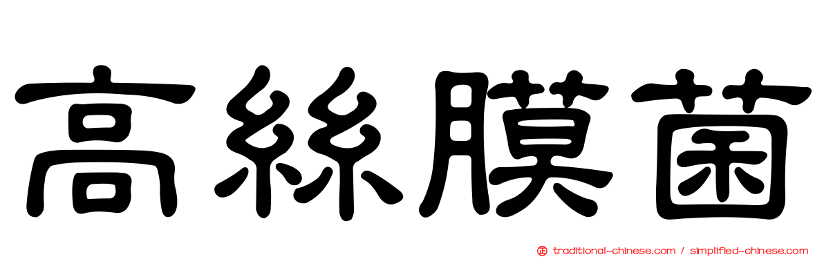 高絲膜菌