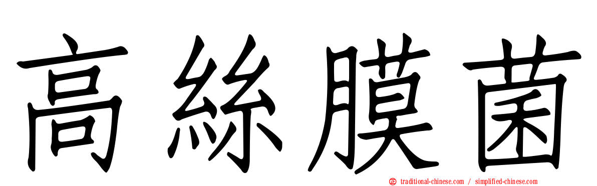 高絲膜菌