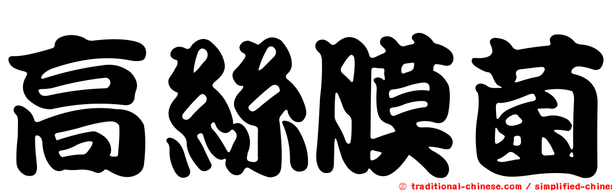 高絲膜菌