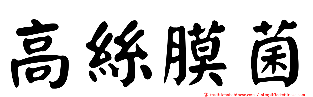 高絲膜菌