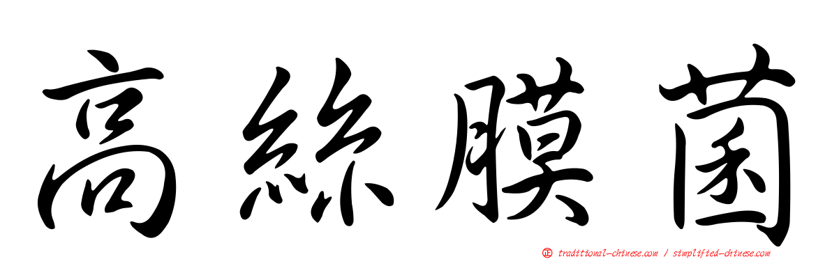 高絲膜菌