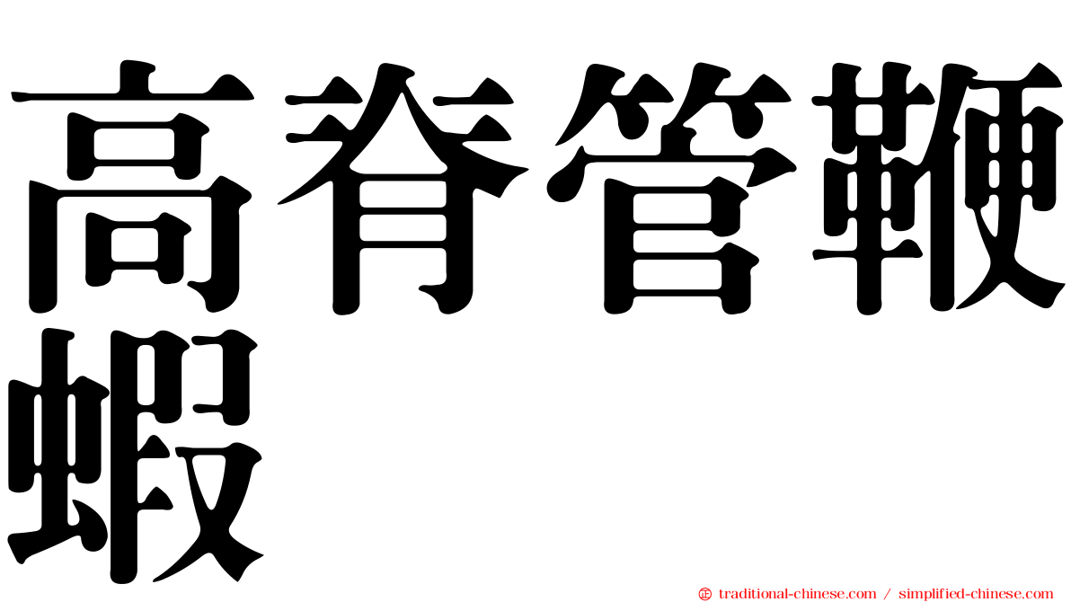 高脊管鞭蝦