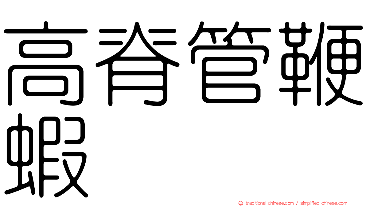 高脊管鞭蝦