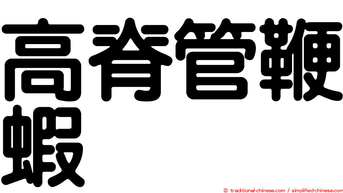 高脊管鞭蝦