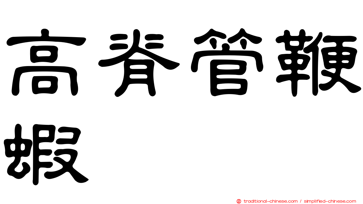 高脊管鞭蝦