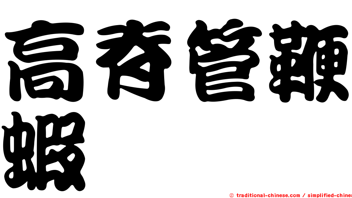 高脊管鞭蝦