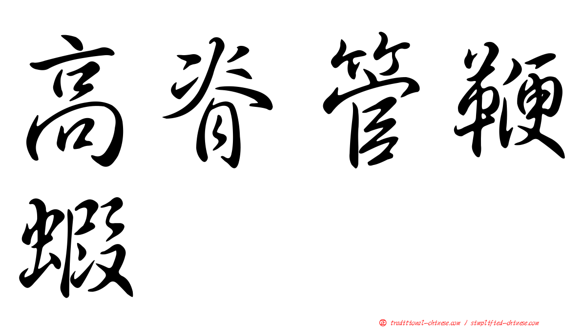 高脊管鞭蝦