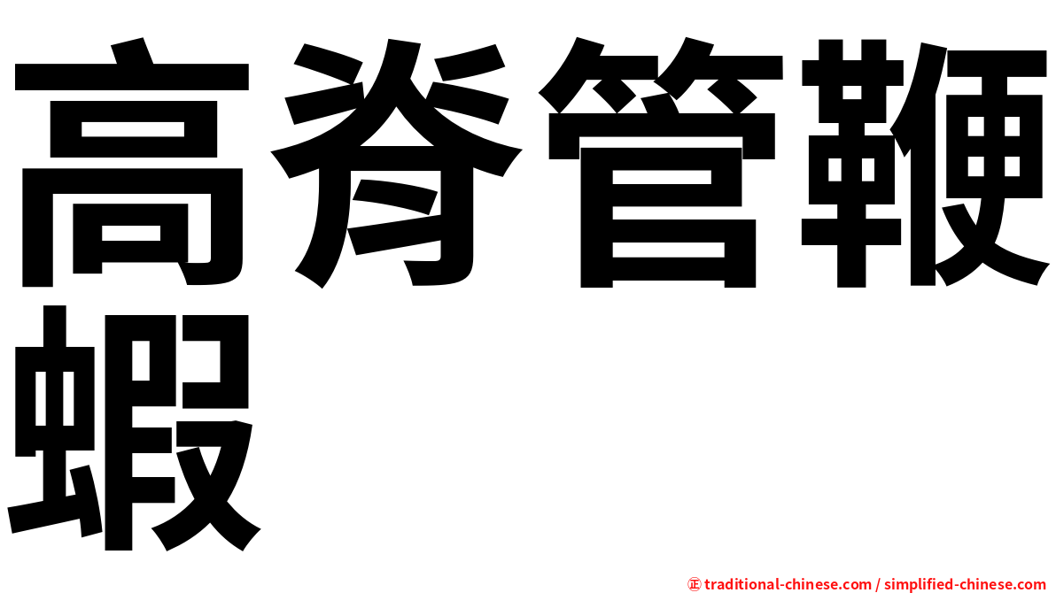 高脊管鞭蝦