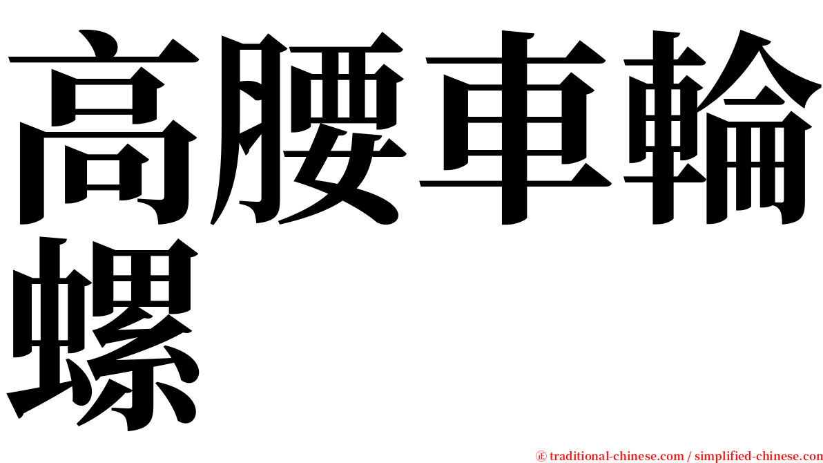 高腰車輪螺 serif font