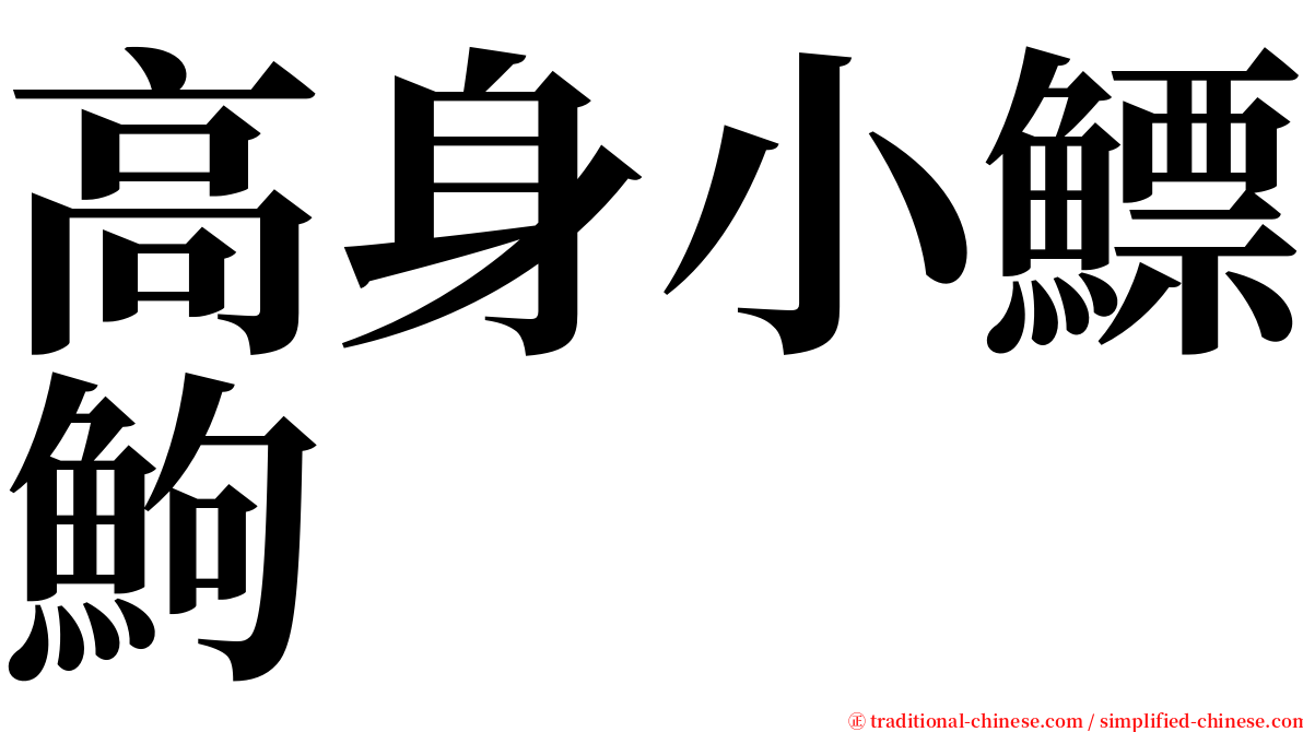 高身小鰾鮈 serif font