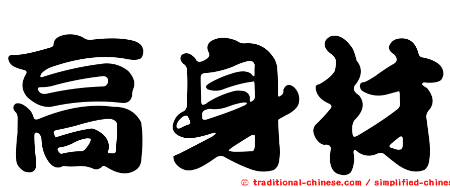 高身材