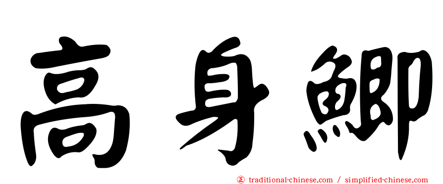 高身鯽