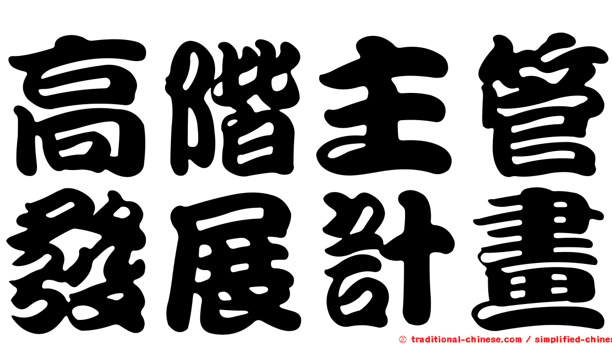 高階主管發展計畫