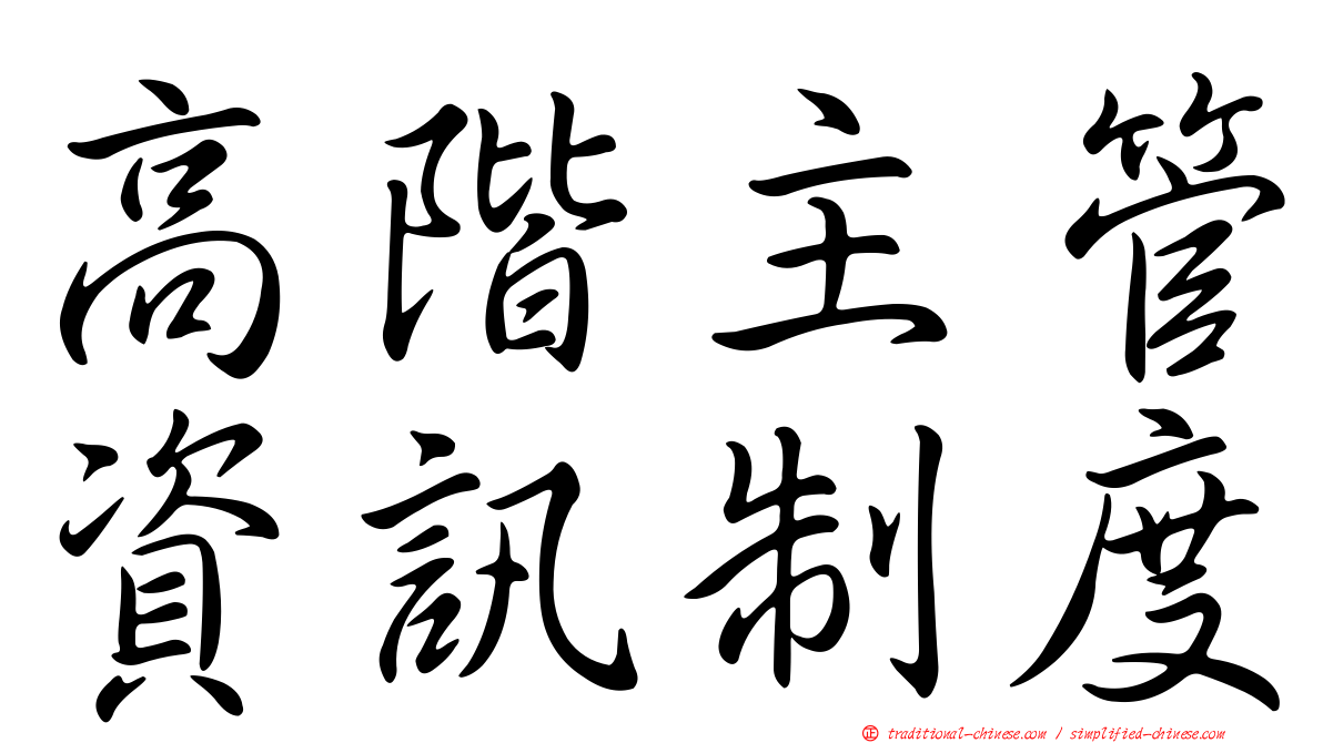 高階主管資訊制度