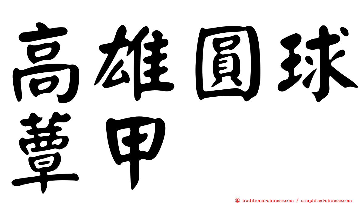 高雄圓球蕈甲
