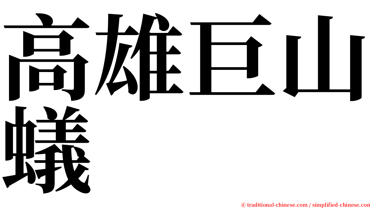 高雄巨山蟻 serif font