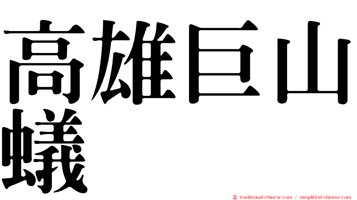高雄巨山蟻