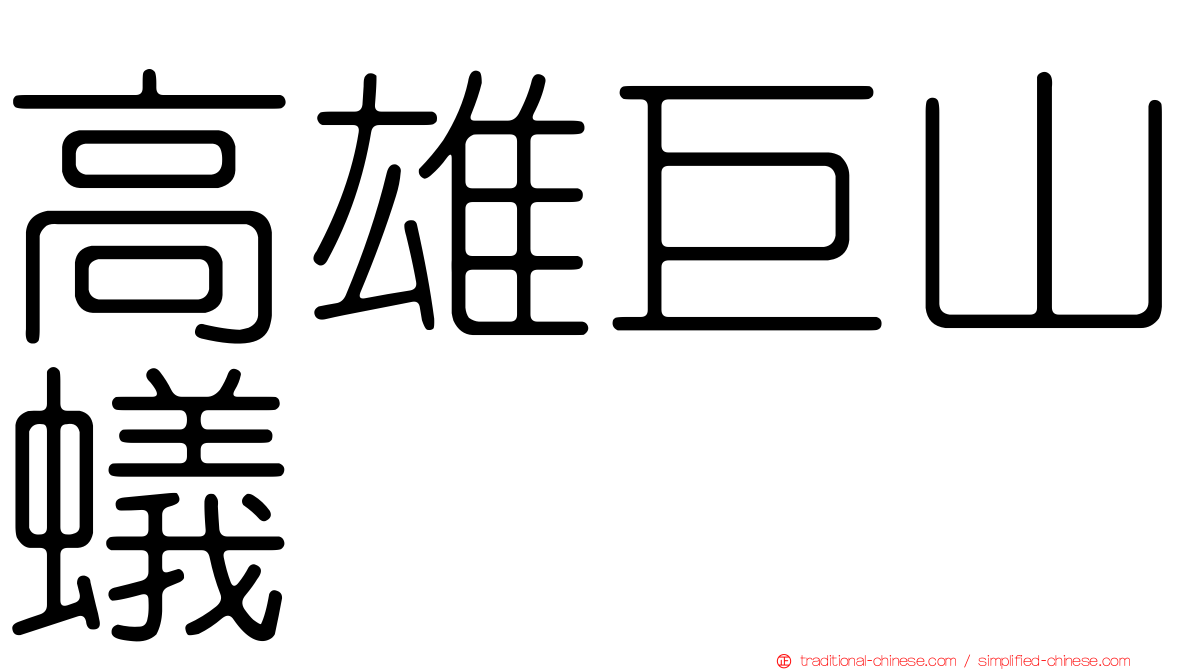 高雄巨山蟻