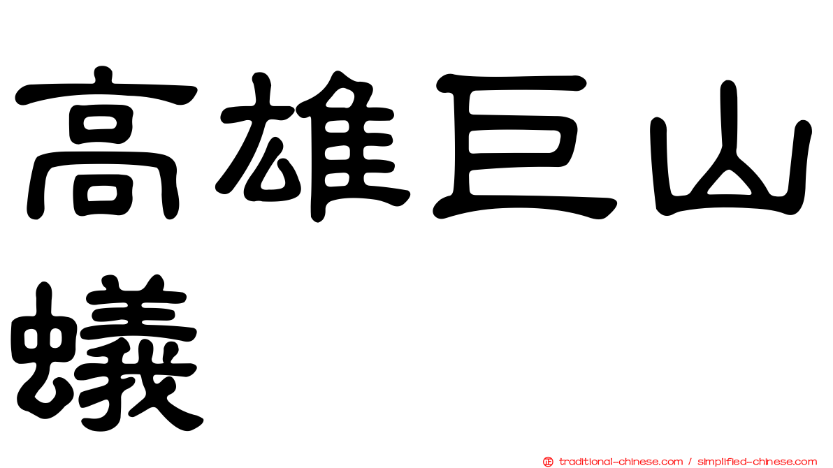 高雄巨山蟻