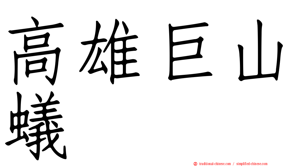 高雄巨山蟻