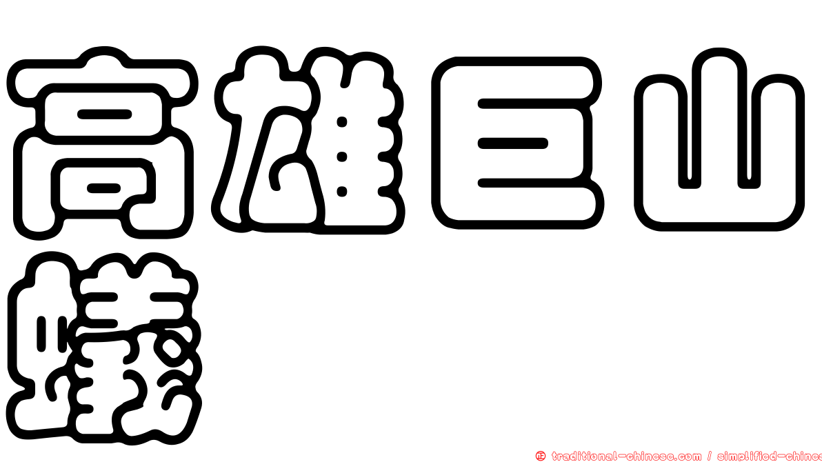 高雄巨山蟻