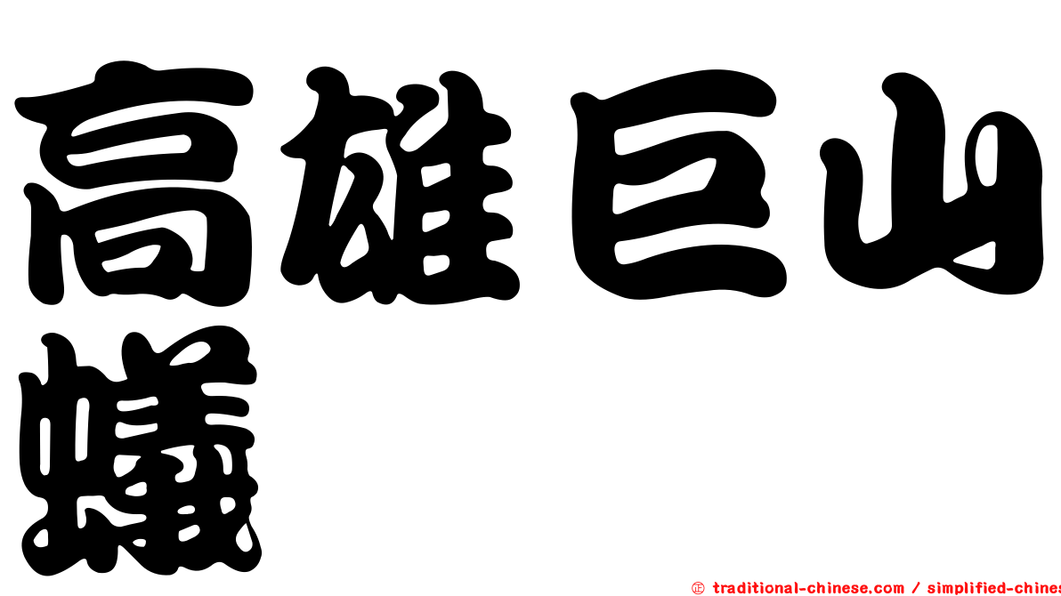 高雄巨山蟻