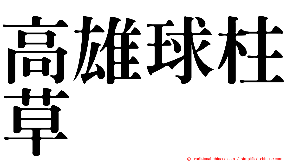 高雄球柱草