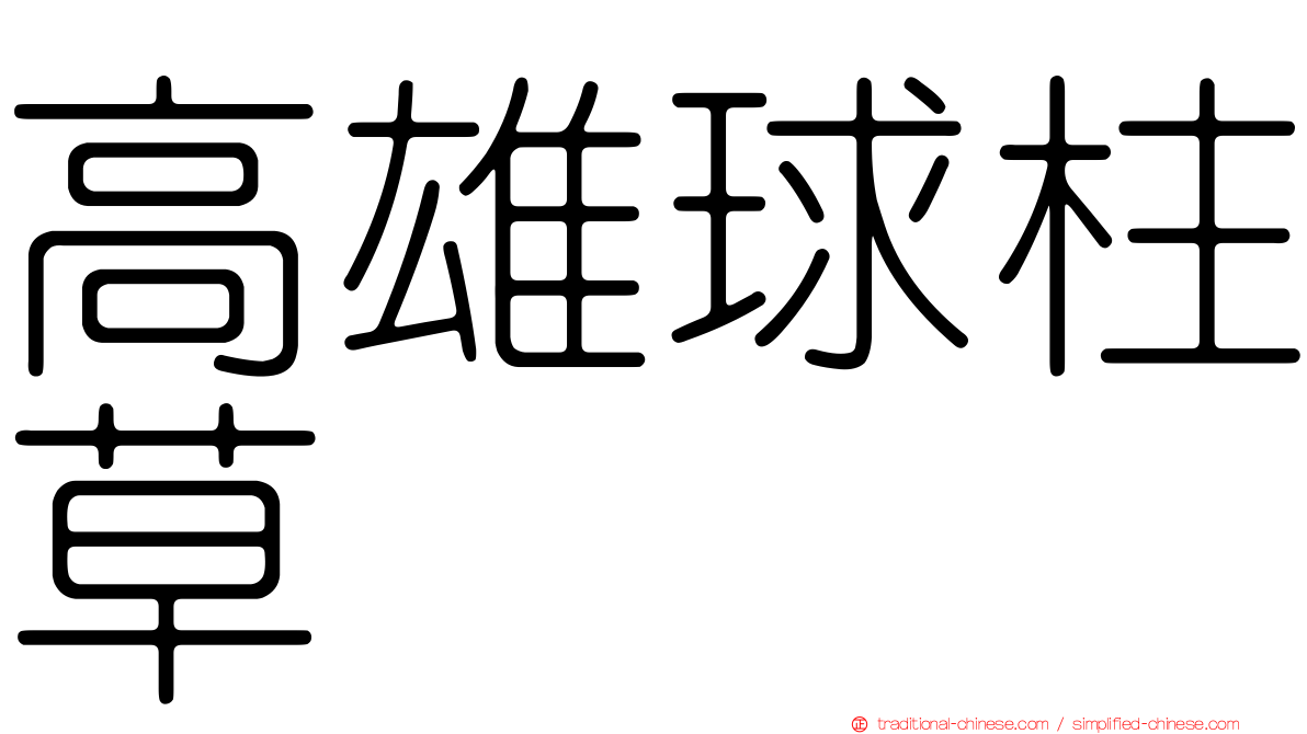 高雄球柱草