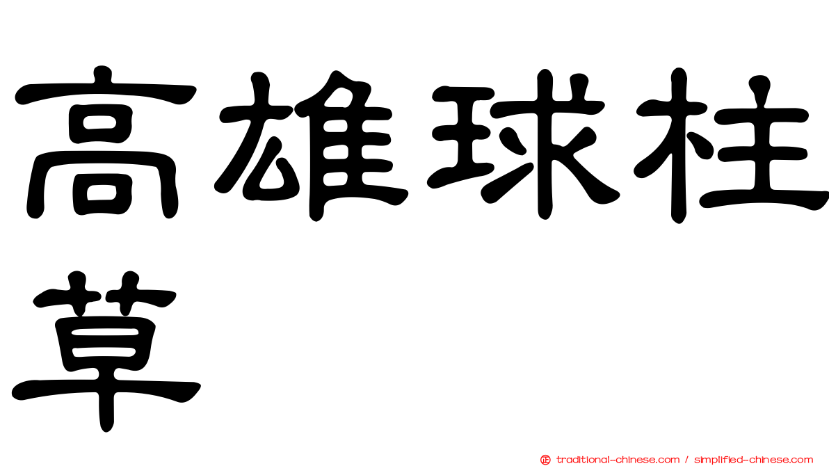 高雄球柱草