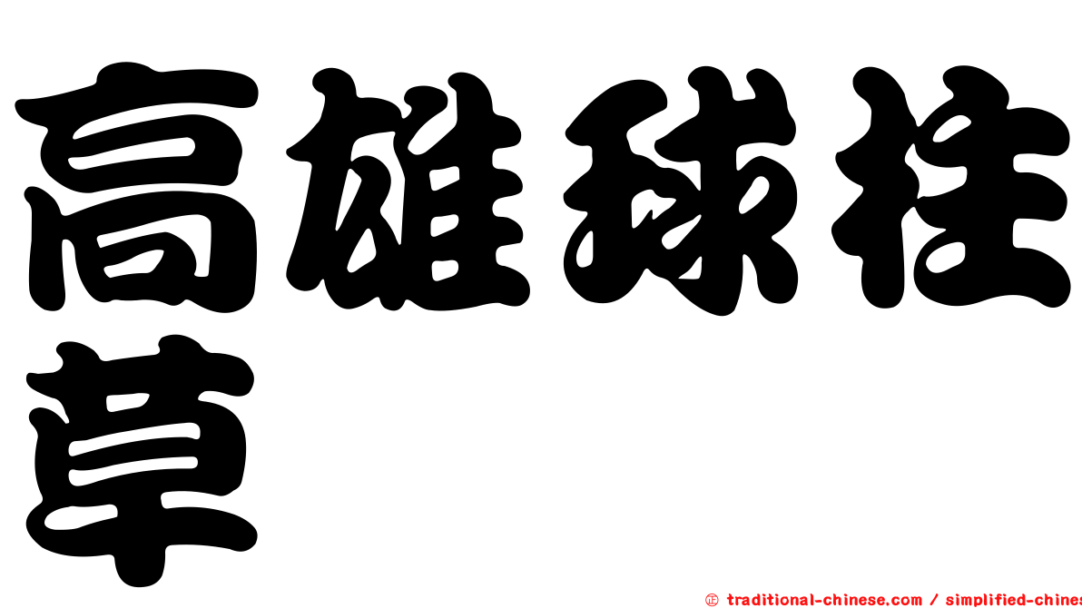 高雄球柱草