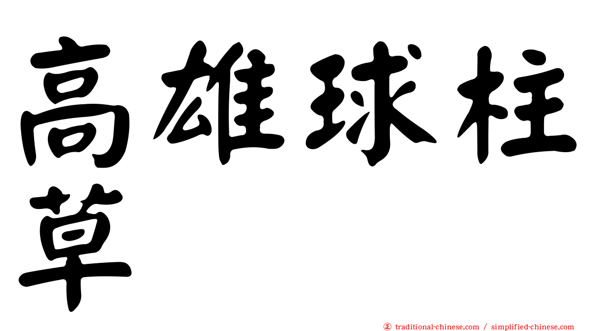 高雄球柱草