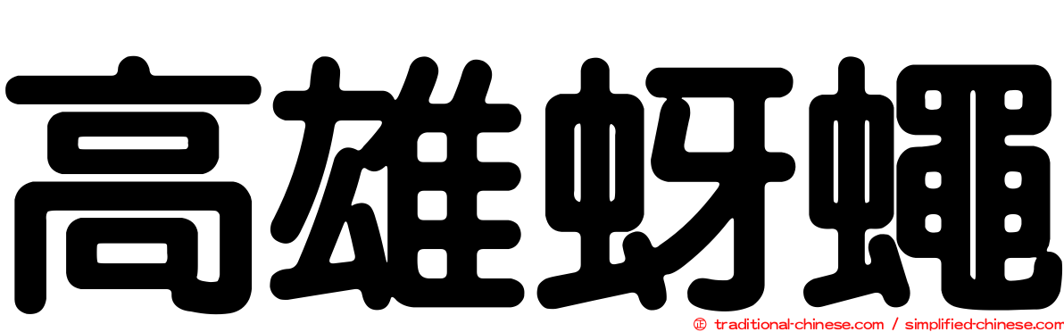 高雄蚜蠅