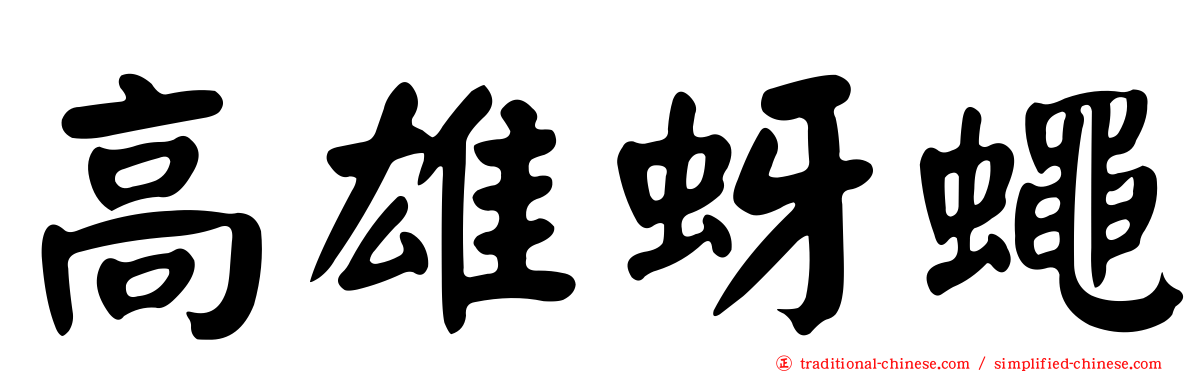 高雄蚜蠅