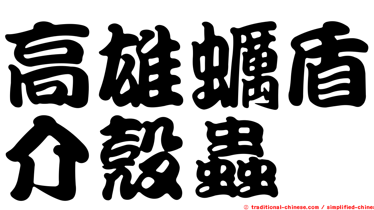 高雄蠣盾介殼蟲