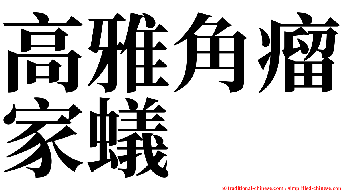 高雅角瘤家蟻 serif font