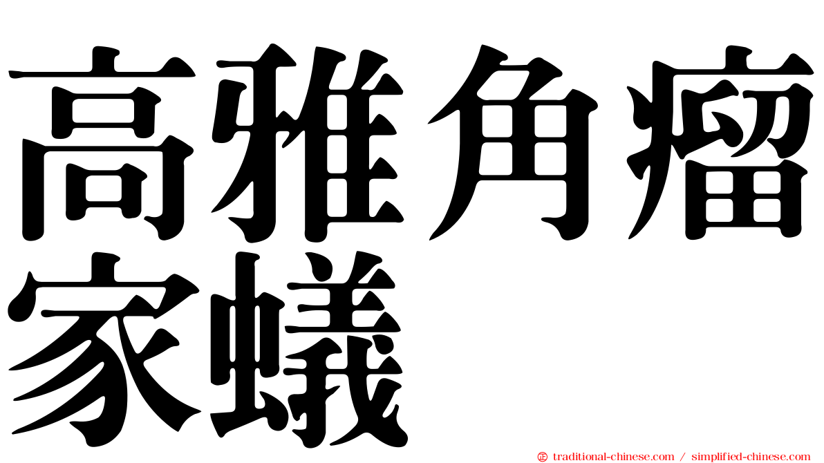 高雅角瘤家蟻