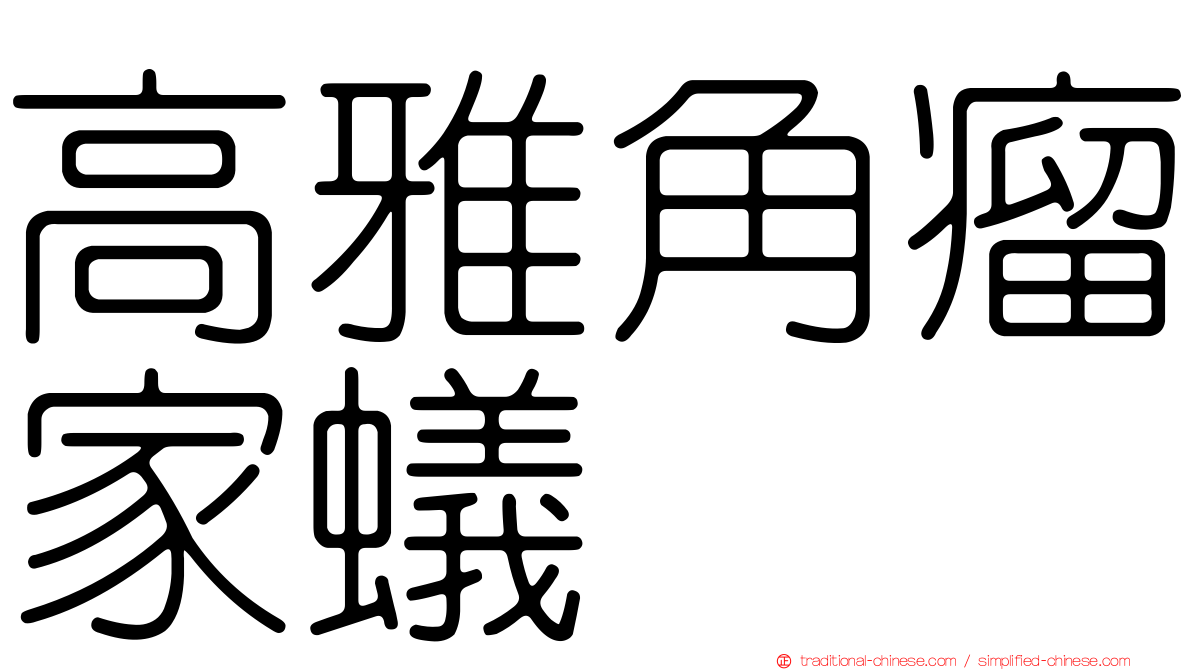 高雅角瘤家蟻